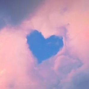 Meet your Posher,  Dana